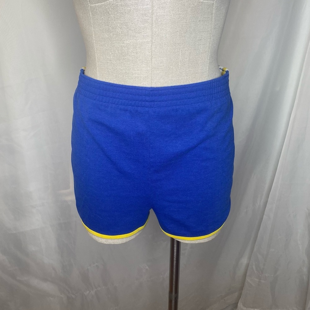 Vtg 70's Polyester Sears Skimpy Gym Jogging Shorts